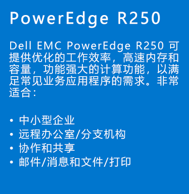 戴爾PowerEdge-R250服務(wù)器.png