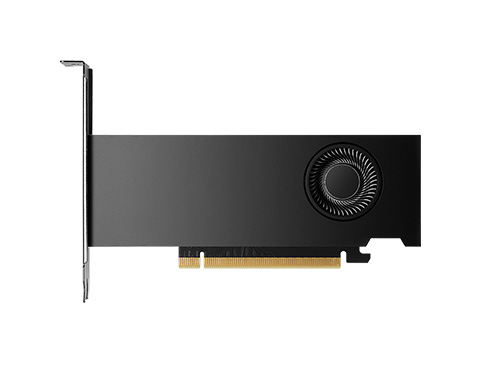 NVIDIA RTX 2000 Ada 16GB GDDR6 專業顯卡