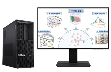 聯想ThinkStation P3 單細胞測序分析工作站（英特爾酷睿 i9-13900，24核丨128GB DDR5-4400 內存丨2TB M.2 固態+2TB 機械硬盤丨RTX 4060，8GB 顯卡丨27寸顯示器）